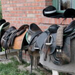 04.07.2017 Lubania. Gospodarstwo agroturystyczne "Różane Wzgórze". / Krzysztof Bujnowicz / Radio Kielce