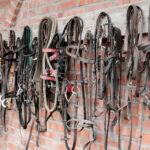 04.07.2017 Lubania. Gospodarstwo agroturystyczne "Różane Wzgórze". / Krzysztof Bujnowicz / Radio Kielce