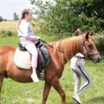 04.07.2017 Lubania. Gospodarstwo agroturystyczne "Różane Wzgórze". / Krzysztof Bujnowicz / Radio Kielce