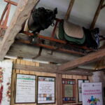 06.07.2017 Celiny. Gospodarstwo agroturystyczne "Gratka". Międzynarodowy Plener Malarski. / Krzysztof Bujnowicz / Radio Kielce