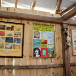 06.07.2017 Celiny. Gospodarstwo agroturystyczne "Gratka". Międzynarodowy Plener Malarski. / Krzysztof Bujnowicz / Radio Kielce