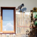 06.07.2017 Celiny. Gospodarstwo agroturystyczne "Gratka". Międzynarodowy Plener Malarski. / Krzysztof Bujnowicz / Radio Kielce