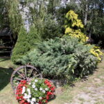 18.07.2017 Pińczów. Gospodarstwo Agroturystyczne „Nad Nidą”. / Krzysztof Bujnowicz / Radio Kielce