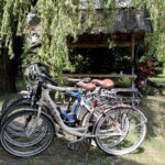 18.07.2017 Pińczów. Gospodarstwo Agroturystyczne „Nad Nidą”. / Krzysztof Bujnowicz / Radio Kielce