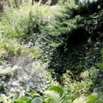 18.07.2017 Pińczów. Gospodarstwo Agroturystyczne „Nad Nidą”. / Krzysztof Bujnowicz / Radio Kielce