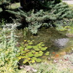 18.07.2017 Pińczów. Gospodarstwo Agroturystyczne „Nad Nidą”. / Krzysztof Bujnowicz / Radio Kielce