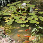 18.07.2017 Pińczów. Gospodarstwo Agroturystyczne „Nad Nidą”. / Krzysztof Bujnowicz / Radio Kielce