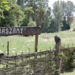 18.07.2017 Pińczów. Gospodarstwo Agroturystyczne „Nad Nidą”. / Krzysztof Bujnowicz / Radio Kielce