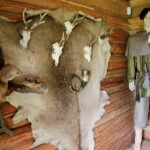 Raport Dnia. Gospodarstwo agroturystyczne "Gród Pędzików" (19.07.2017) / Krzysztof Bujnowicz / Radio Kielce