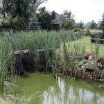 Raport Dnia. Gospodarstwo agroturystyczne "Gród Pędzików" (19.07.2017) / Krzysztof Bujnowicz / Radio Kielce