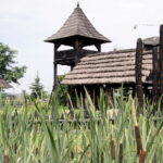 Raport Dnia. Gospodarstwo agroturystyczne "Gród Pędzików" (19.07.2017) / Krzysztof Bujnowicz / Radio Kielce