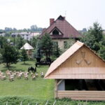 Raport Dnia. Gospodarstwo agroturystyczne "Gród Pędzików" (19.07.2017) / Krzysztof Bujnowicz / Radio Kielce