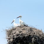 Raport Dnia. Gospodarstwo agroturystyczne "Gród Pędzików" (19.07.2017) / Krzysztof Bujnowicz / Radio Kielce