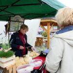 02.07.2017 Łagów. Dni Łagowa. / Marzena Mąkosa / Radio Kielce