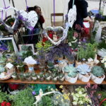 02.07.2017 Łagów. Dni Łagowa. / Marzena Mąkosa / Radio Kielce