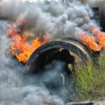 Kieleccy elewi w Nowej Dębie (11.07.2017) / Marzena Mąkosa