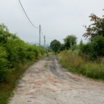 25.07.2017 Domaszowice. / Marzena Mąkosa / Radio Kielce