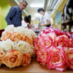 28.07.2017 Kostomłoty.  Świętokrzyski konwent fantastyki "Jagacon". / Marzena Mąkosa / Radio Kielce