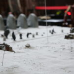 28.07.2017 Kostomłoty.  Świętokrzyski konwent fantastyki "Jagacon". / Marzena Mąkosa / Radio Kielce