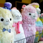 29.07.2017 Kostomłoty. Świętokrzyski konwent fantastyki "Jagacon". / Marzena Mąkosa - Radio Kielce / Radio Kielce