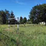 Brzezie, gm. Opatów. W byłej szkole powstanie zakład opiekuńczo-leczniczy (27.07.2017) / Emilia Sitarska / Radio Kielce