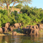 Muzyczne Podróże przez Świat - Namibia i Botswana / Bożena Woźniczka / Namibia i Botswana