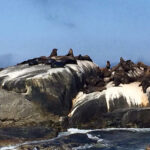 Muzyczne Podróże przez Świat - Namibia i Botswana / Bożena Woźniczka / Namibia i Botswana