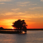 Muzyczne Podróże przez Świat - Namibia i Botswana / Bożena Woźniczka / Namibia i Botswana