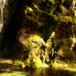 05.08.2017 Muzyczne Podróże Przez Świat - Rejs do przylądka Horn. / Majka Szura / Rejs do przylądka Horn