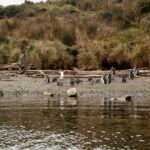 05.08.2017 Muzyczne Podróże Przez Świat - Rejs do przylądka Horn. / Majka Szura / Rejs do przylądka Horn
