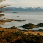05.08.2017 Muzyczne Podróże Przez Świat - Rejs do przylądka Horn. / Majka Szura / Rejs do przylądka Horn