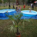 Kielce. Baseny w ogrodzie letnim Radia Kielce / Robert Felczak - Radio Kielce / Kielce. Baseny w ogrodzie letnim Radia Kielce