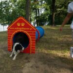 04.08.2017 Kielce. Plac zabaw dla psów / Wiktor Dziarmaga - Radio Kielce / Kielce. Plac zabaw dla psów