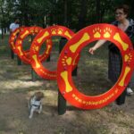 04.08.2017 Kielce. Plac zabaw dla psów / Wiktor Dziarmaga - Radio Kielce / Kielce. Plac zabaw dla psów