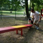 04.08.2017 Kielce. Plac zabaw dla psów / Wiktor Dziarmaga - Radio Kielce / Kielce. Plac zabaw dla psów