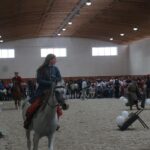 15.08.2017 Michałów. Dzień otwarty w stadninie koni / Kamil Włosowicz - Radio Kielce / Michałów. Dzień otwarty w stadninie koni