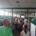 15.08.2017 Michałów. Dzień otwarty w stadninie koni / Kamil Włosowicz - Radio Kielce / Michałów. Dzień otwarty w stadninie koni