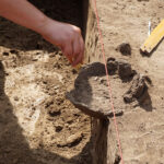 Studenci archeologii UJ w Krakowie w trakcie prac archeologicznych w Michałowicach w gminie Czarnocin / Kamil Włosowicz - Radio Kielce / Studenci archeologii UJ w Krakowie w trakcie prac archeologicznych w Michałowicach w gminie Czarnocin