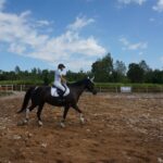 05.08.2017 Starachowice. Zawody jeździeckie / Tomasz Piwko - Radio Kielce / Starachowice. Zawody jeździeckie