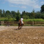 05.08.2017 Starachowice. Zawody jeździeckie / Tomasz Piwko - Radio Kielce / Starachowice. Zawody jeździeckie