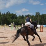 05.08.2017 Starachowice. Zawody jeździeckie / Tomasz Piwko - Radio Kielce / Starachowice. Zawody jeździeckie