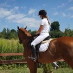 05.08.2017 Starachowice. Zawody jeździeckie / Tomasz Piwko - Radio Kielce / Starachowice. Zawody jeździeckie