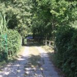 16.08.2017 - Raport Dnia - Jasień w gminie Staszów - Gospodarstwo Ekorab / Grzegorz Jamka / Gospodarstwo Ekorab