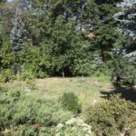 16.08.2017 - Raport Dnia - Jasień w gminie Staszów - Gospodarstwo Ekorab / Grzegorz Jamka / Gospodarstwo Ekorab