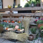 16.08.2017 - Raport Dnia - Jasień w gminie Staszów - Gospodarstwo Ekorab / Grzegorz Jamka / Gospodarstwo Ekorab