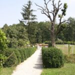 (10.08.2017) Raport Dnia - „Dworek Pod Lipą” w Nowych Kotlicach / Grzegorz Jamka / „Dworek Pod Lipą” w Nowych Kotlicach