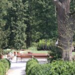 (10.08.2017) Raport Dnia - „Dworek Pod Lipą” w Nowych Kotlicach / Grzegorz Jamka / „Dworek Pod Lipą” w Nowych Kotlicach