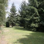 Gospodarstwo Agroturystyczne „Nad wodą” Doroty i Ludwika Michtów w Ciekotach na Żeromszczyźnie. / Krzysztof Bujnowicz - Radio Kielce / Gospodarstwo Agroturystyczne „Nad wodą" w Ciekotach