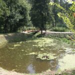 (10.08.2017) Raport Dnia - „Dworek Pod Lipą” w Nowych Kotlicach / Grzegorz Jamka / „Dworek Pod Lipą” w Nowych Kotlicach