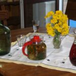 16.08.2017 - Raport Dnia - Jasień w gminie Staszów - Gospodarstwo Ekorab / Grzegorz Jamka / Gospodarstwo Ekorab